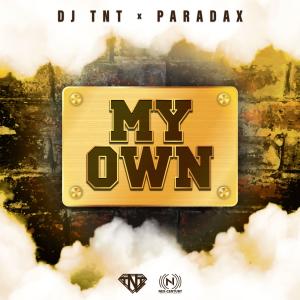 Dj Tnt的專輯My Own (feat. Paradax)