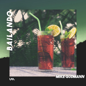 Listen to Bailando song with lyrics from Mike Gudmann