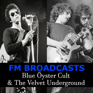 Listen to That's The Story Of My Life (Live) song with lyrics from Velvet Underground