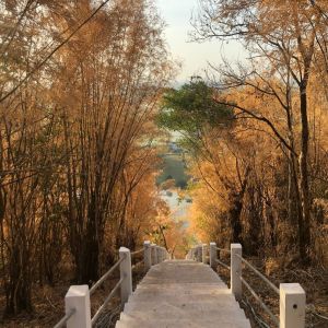 Listen to โกหกหน้าตาย song with lyrics from Legendboy