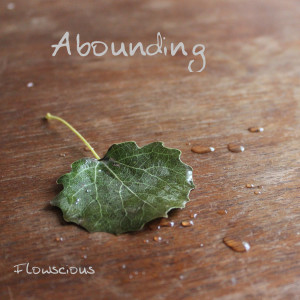 Listen to Abounding song with lyrics from Flowscious