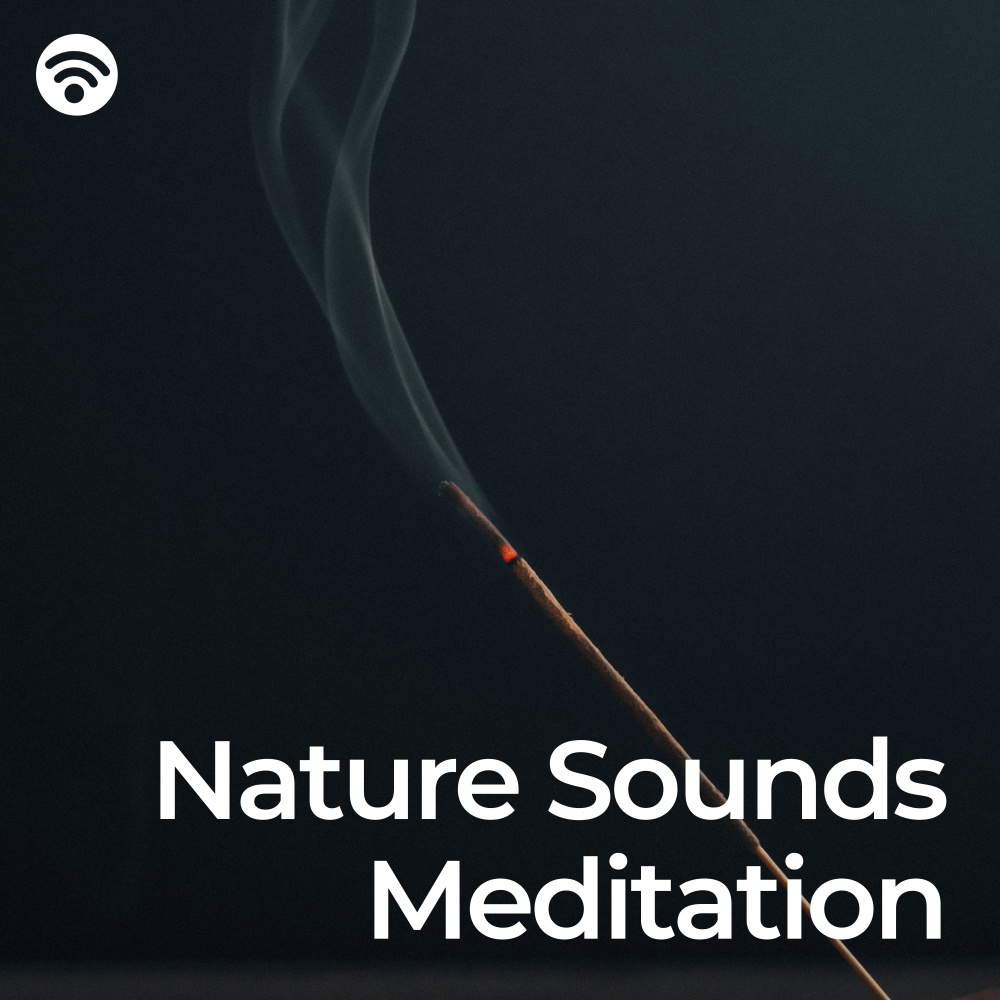 Solace in Nature's Meditative Symphony