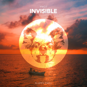 Listen to Invisible song with lyrics from YNOT