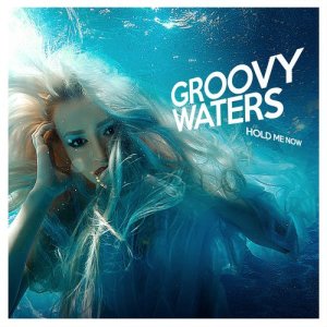 ดาวน์โหลดและฟังเพลง Hold Me Now พร้อมเนื้อเพลงจาก Groovy Waters