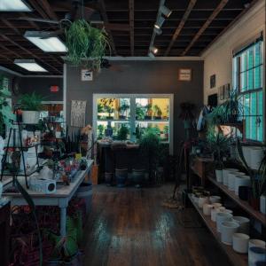 收聽Carlin的Delight歌詞歌曲