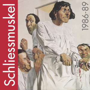收听Schliessmuskel的Vidiot歌词歌曲