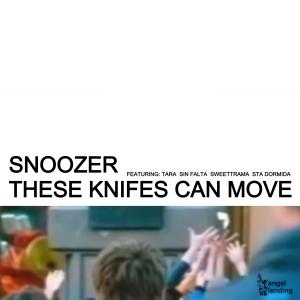 收聽Snoozer的Trousse De Secours (feat. Sta Dormida)歌詞歌曲