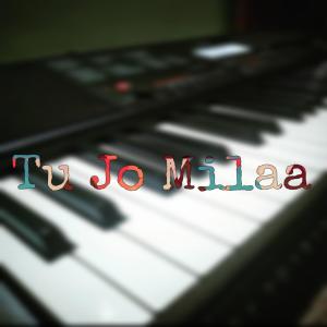 Listen to Tu Jo Milaa song with lyrics from Indian Man