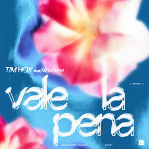 Album Vale La Pena oleh Monogem