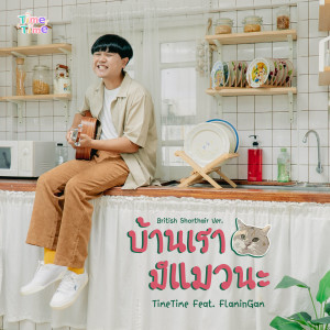 ดาวน์โหลดและฟังเพลง บ้านเรามีแมวนะ พร้อมเนื้อเพลงจาก TimeTime