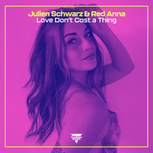 Album Love Don't Cost a Thing from Julien Schwarz