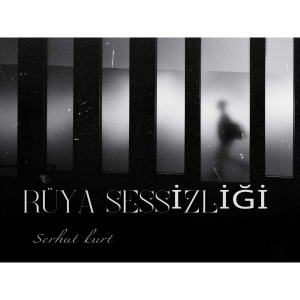 Kurtz的專輯Rüya Sessizliği