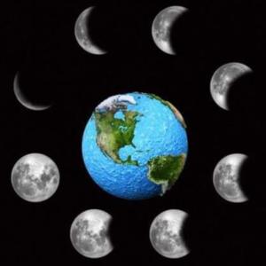 Stevenson Michel的專輯DROPPED! (feat. SexAppexl) [Explicit]