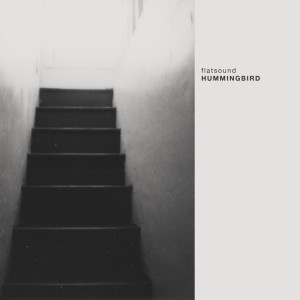 Album Hummingbird from flatsound