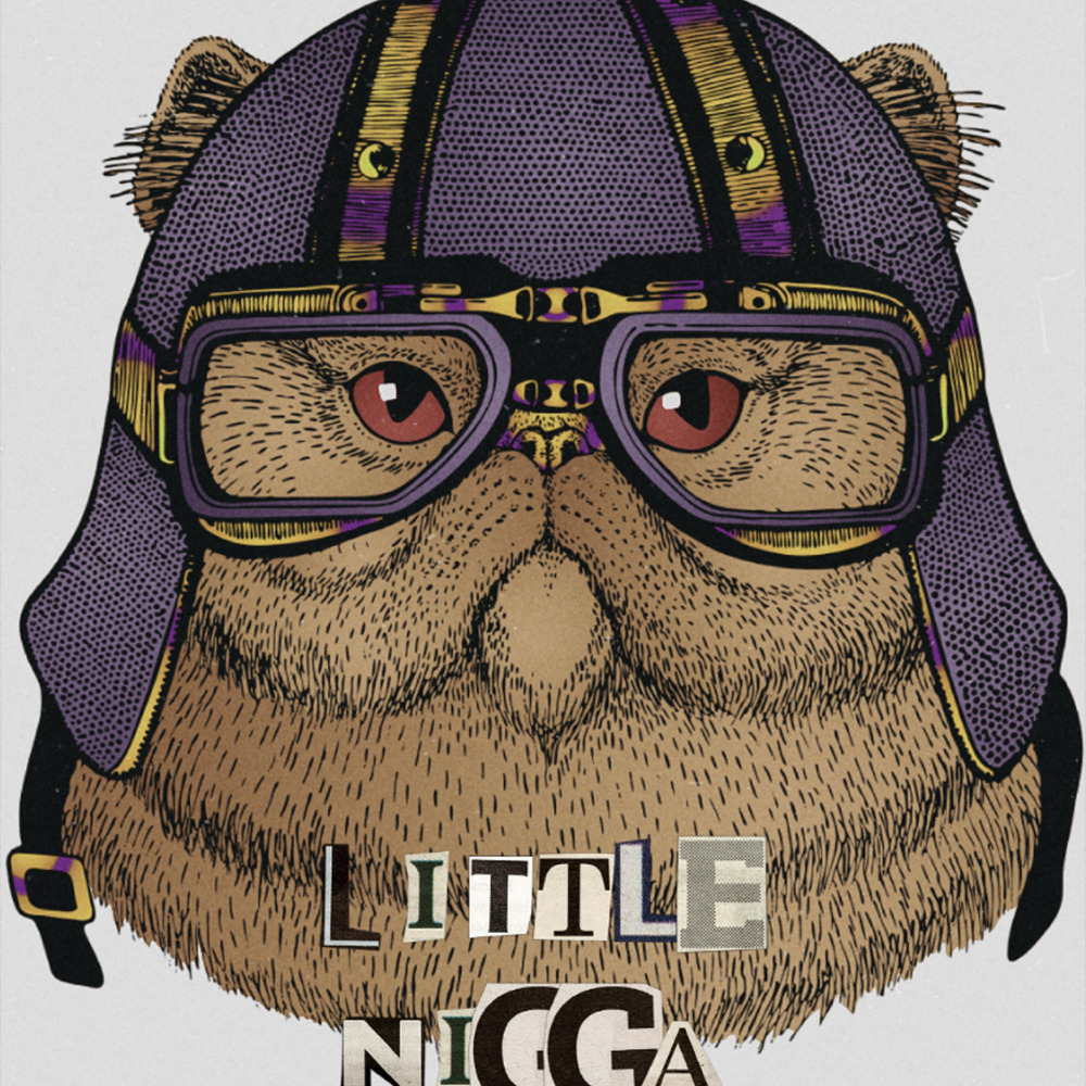 LiTTle NiGGa (Explicit)