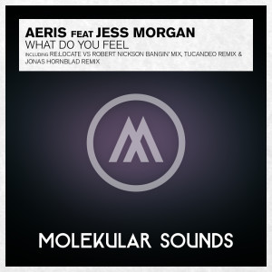 收聽Aeris的What Do You Feel? (Paul Moelands & Robert Nickson Remix)歌詞歌曲