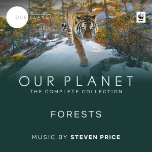 收聽Steven Price的Our Planet End Titles (From "Our Planet")歌詞歌曲