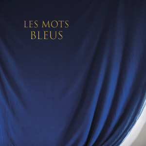 Listen to Les mots bleus song with lyrics from Johan Papaconstantino