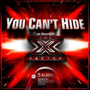 ดาวน์โหลดและฟังเพลง You Can't Hide พร้อมเนื้อเพลงจาก Molly Durand