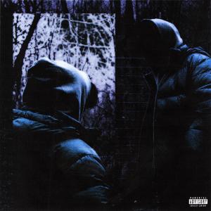 ดาวน์โหลดและฟังเพลง FLACARA/CAMELEON (Explicit) พร้อมเนื้อเพลงจาก Shenko