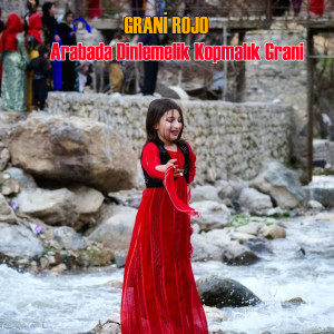 Listen to Arabada Dinlemelik Kopmalık Grani song with lyrics from Grani Rojo