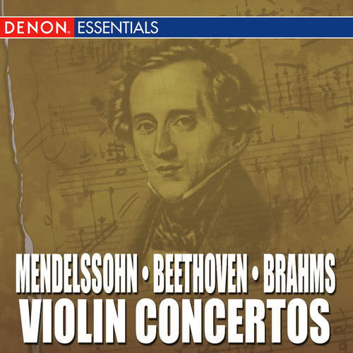 Violin Concerto in D Major, Op. 77: I. Allegro non troppo