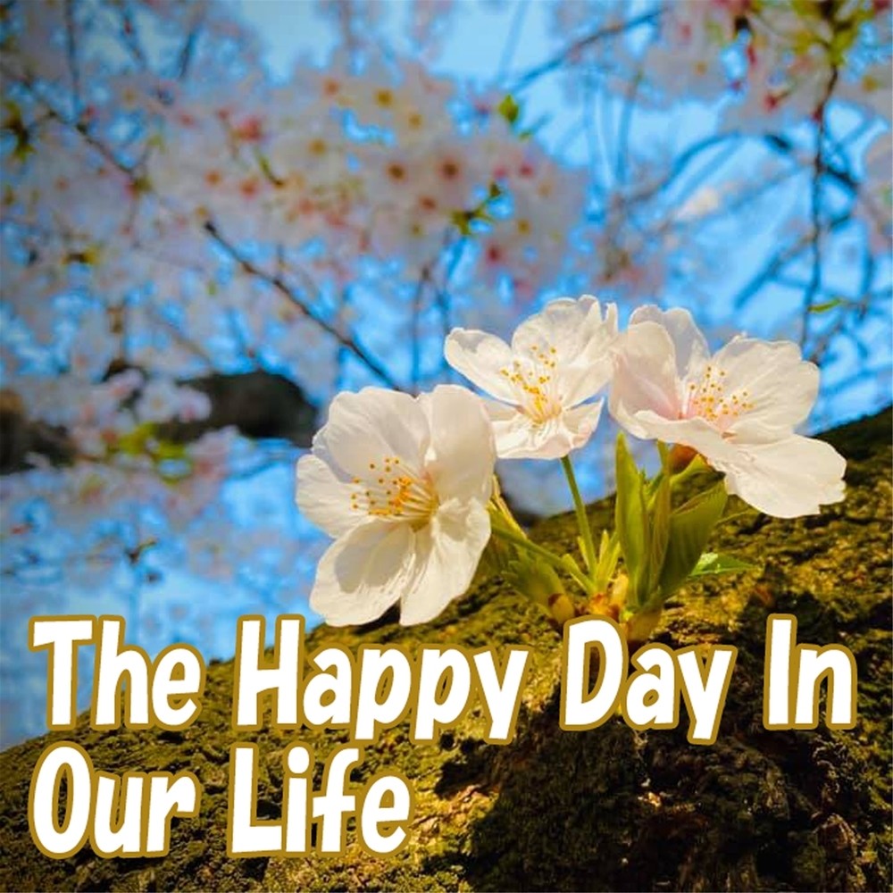 The Happy Day In Our Life (其他)