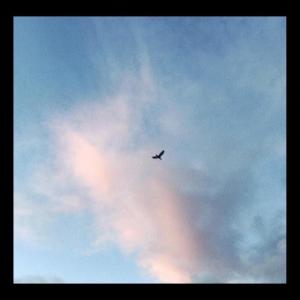 收聽.Uzu的love in place. (feat. Clavita)歌詞歌曲