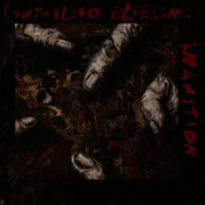 ดาวน์โหลดและฟังเพลง Trang and I พร้อมเนื้อเพลงจาก Controlled Bleeding