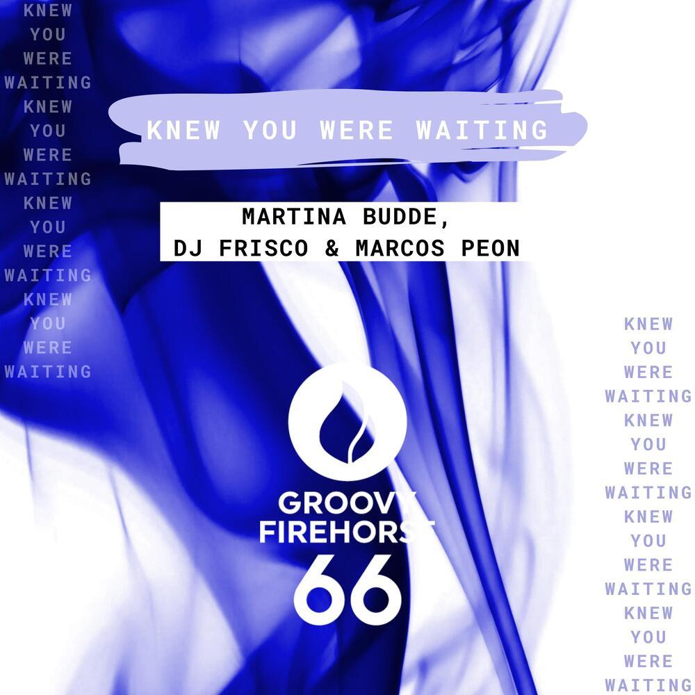 Knew You Were Waiting (Radio-Edit)