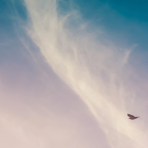 Listen to Air song with lyrics from Silvertortoise
