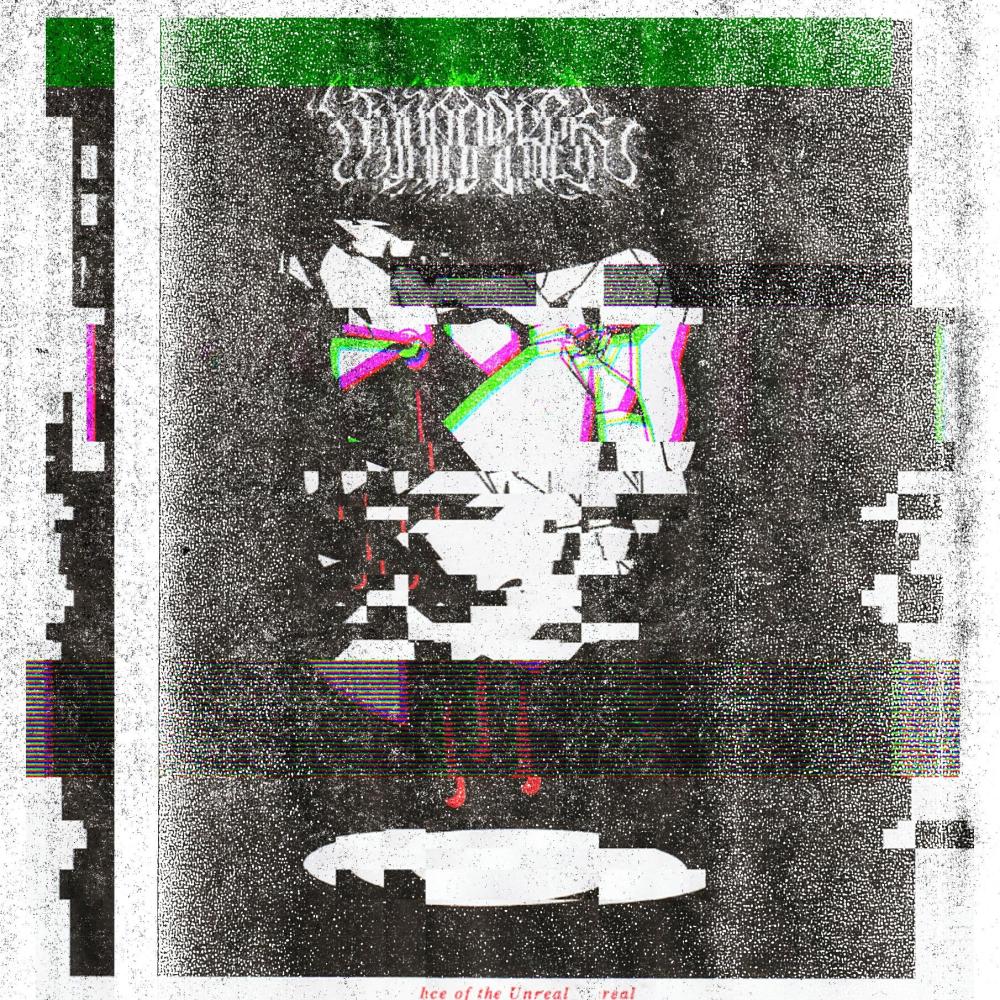 When We Stopped Asking Why (VoidDweller Remix|Explicit)