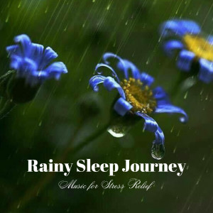 Album Rainy Sleep Journey: Music for Stress Relief from Dreamlandia