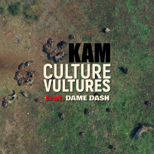 Dame Dash的專輯Culture Vultures (Explicit)