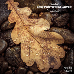 Dengarkan Rain Sound for Good Night lagu dari 힐링 네이쳐 Nature Sound Band dengan lirik