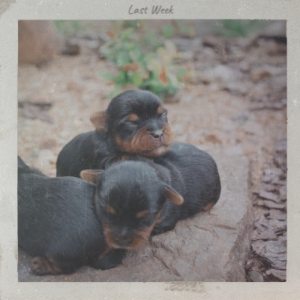 收听Dany Buki的Last Week歌词歌曲