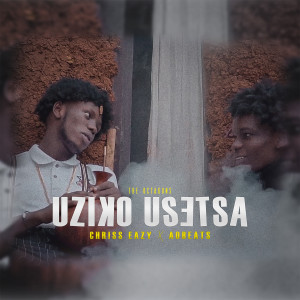 Album Uziko Usetsa from AObeats