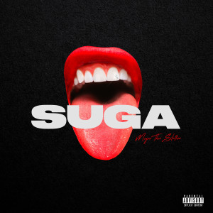 ดาวน์โหลดและฟังเพลง Hit My Phone (feat. Kehlani) (Explicit) พร้อมเนื้อเพลงจาก Megan Thee Stallion