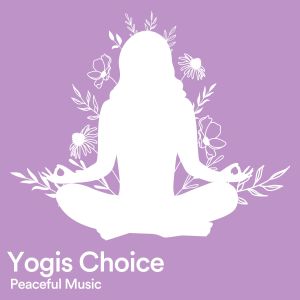 Hatha Yoga Maestro的專輯Yogis Choice Peaceful Music