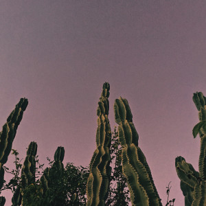 ดาวน์โหลดและฟังเพลง Best Insomnia Therapy พร้อมเนื้อเพลงจาก Deep Sleep