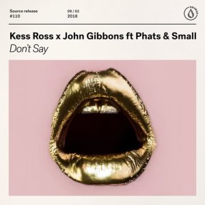 收聽Kess Ross的Don't Say (feat. Phats & Small)歌詞歌曲