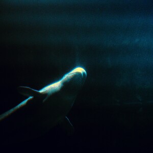 收聽찰리빈웍스的Love And Equability歌詞歌曲