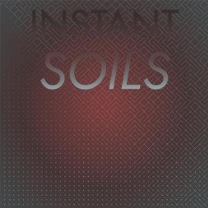 Various的专辑Instant Soils