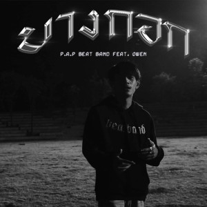 อัลบัม บางกอก Feat.OWEN - Single ศิลปิน P.A.P BEAT BAND