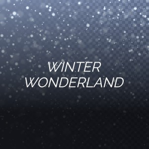Listen to Winter Wonderland song with lyrics from Brenda Lee