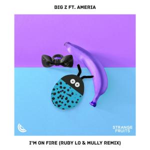 Ameria的專輯I'm On Fire (feat. Ameria) [Ruby LO & Mully Remix]