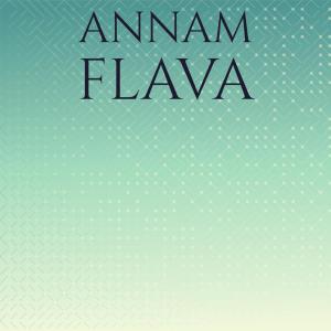 ดาวน์โหลดและฟังเพลง Barbe Patricia พร้อมเนื้อเพลงจาก Nota Argi