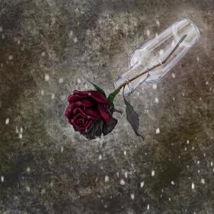 Listen to Frame song with lyrics from BIRA