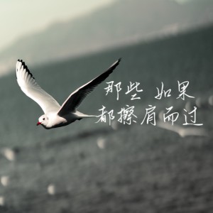 Album 白鸟 oleh 一清清清