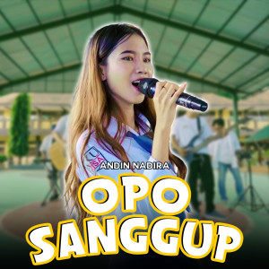 Album Opo Sanggup oleh Andin Nadira
